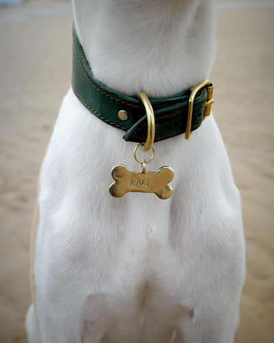 BONE TAG